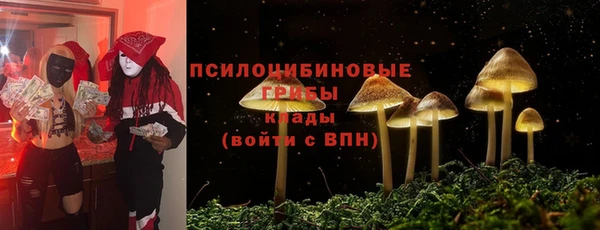 амф Аркадак