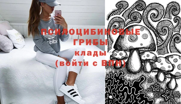 трава Арсеньев
