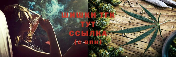 амф Аркадак