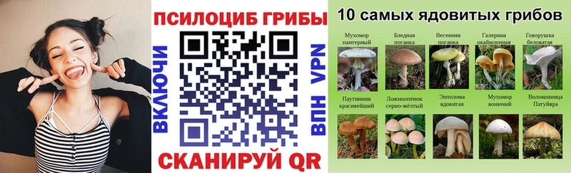 Галлюциногенные грибы мицелий  гидра как войти  Можга 